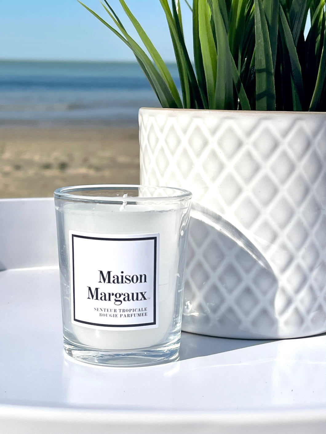 Maison Margaux Senteur Tropicale | Tropical Fruit | 4-ounce Scented Candle